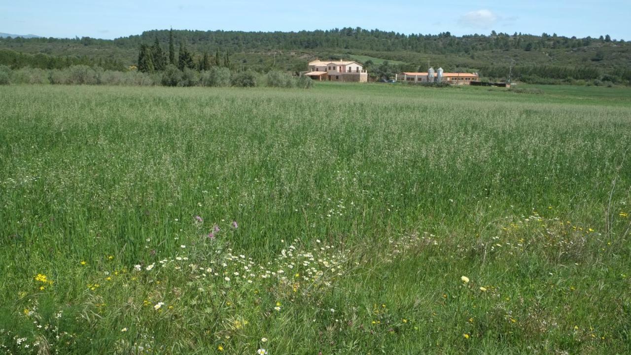 La Masia de Montpedrós Peralada Exterior foto